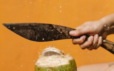 La Historia del Coco en el Mundo